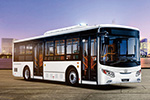 银隆GTQ6105BEVB32公交车（纯电动20-39座）