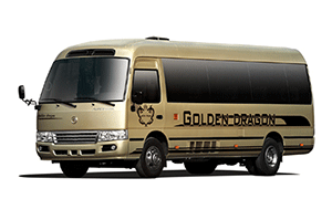 Golden Dragon XML5060XSW18 Business Purpose Vehicle